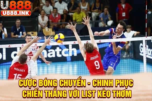 Cược Bóng Chuyển - Chinh Phục Chiến Thắng Với List Kèo Thơm